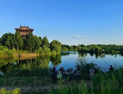 91麻豆国产自拍视频-91麻豆，国产自拍视频的风向标与文化现象