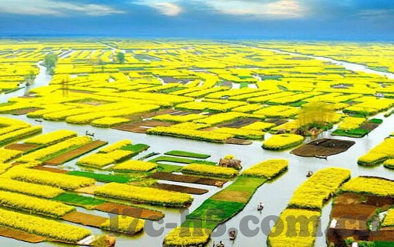 麻豆视频app官网-抵制侵权，共创健康网络环境，对麻豆视频app官网的反思与呼吁