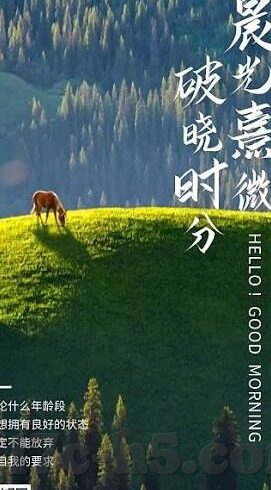日韩av毛片网站-揭秘网络迷雾，日韩AV毛片网站的真实面貌