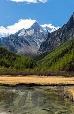色情五月亚洲中文字幕-色情五月亚洲中文字幕，网络文化的灰色地带与法律边界